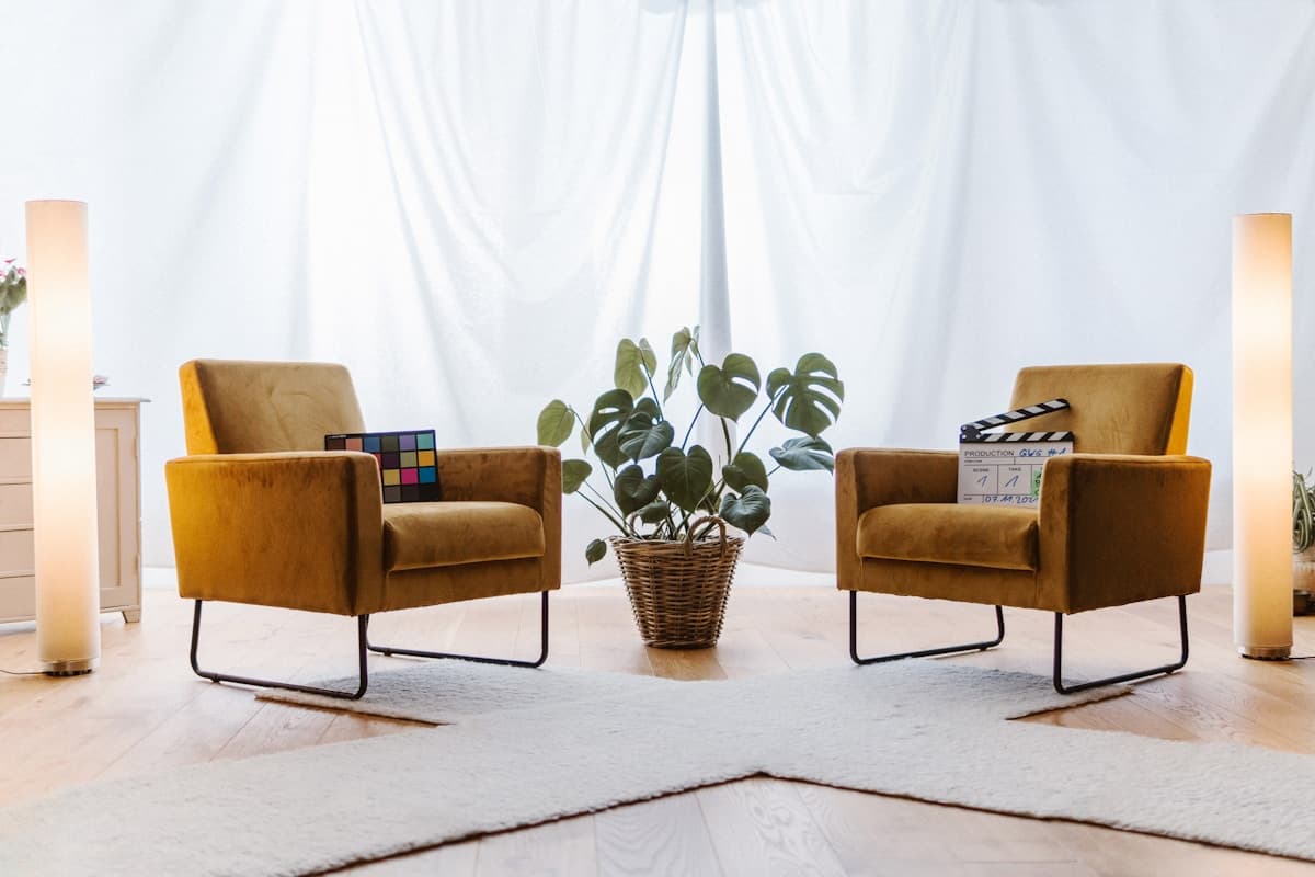 A living room with two chairs and a plant